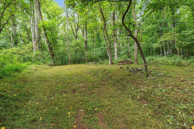 233 Stone Chimneys Rd, Nellysford, VA 22958