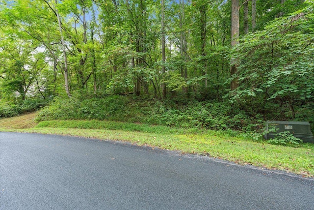 233 Stone Chimneys Rd, Nellysford, VA 22958
