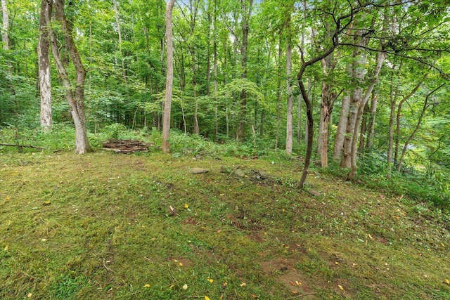 233 Stone Chimneys Rd, Nellysford, VA 22958
