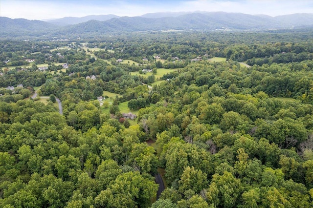 233 Stone Chimneys Rd, Nellysford, VA 22958