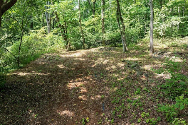233 Stone Chimneys Rd, Nellysford, VA 22958