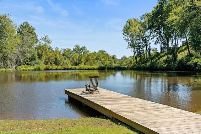 233 Stone Chimneys Rd, Nellysford, VA 22958