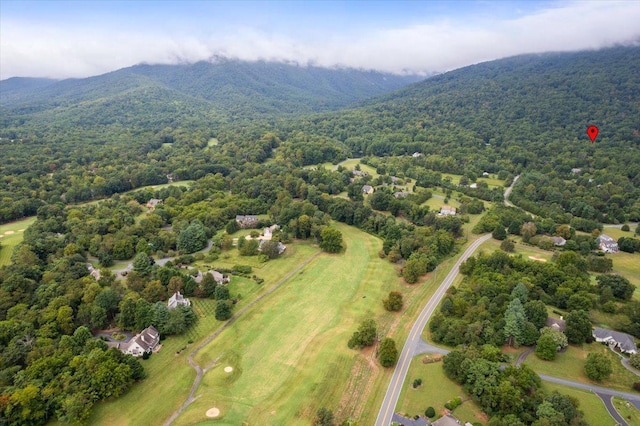 233 Stone Chimneys Rd, Nellysford, VA 22958