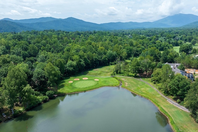 233 Stone Chimneys Rd, Nellysford, VA 22958