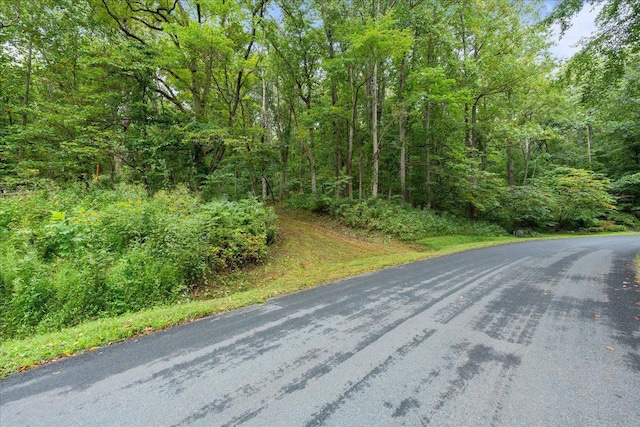 233 Stone Chimneys Rd, Nellysford, VA 22958