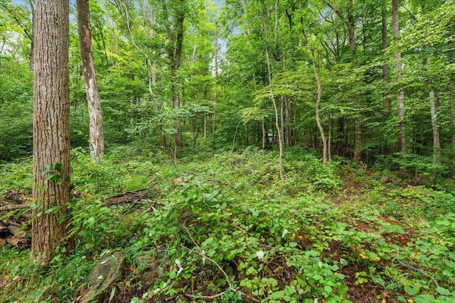 233 Stone Chimneys Rd, Nellysford, VA 22958