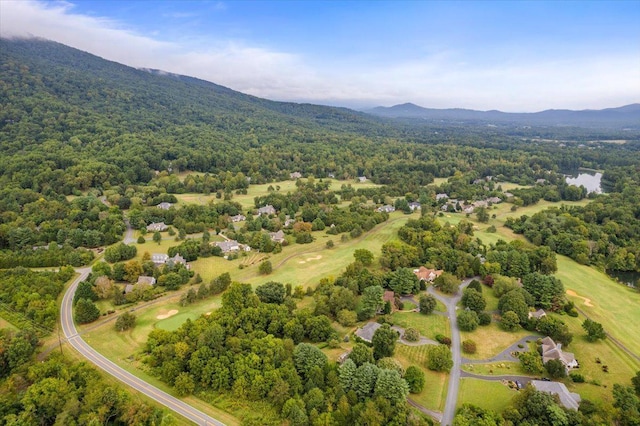 233 Stone Chimneys Rd, Nellysford, VA 22958