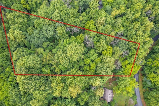 233 Stone Chimneys Rd, Nellysford, VA 22958