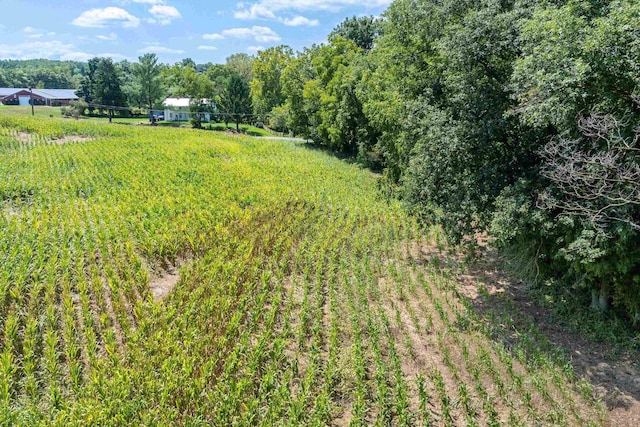 TBD Michael Lane, Elkton, VA 22827