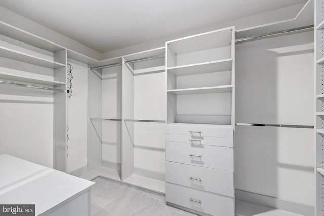 spacious closet with light colored carpet