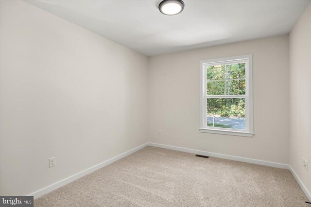 unfurnished room featuring carpet