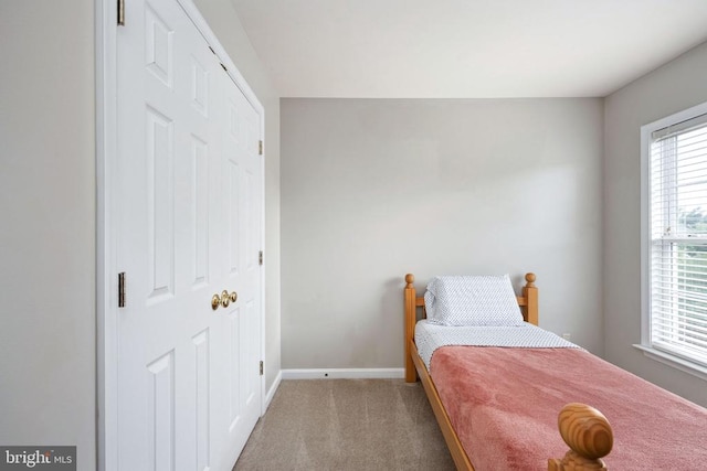 5915 Copper Mountain Dr W, Spotsylvania, VA 22553 - carpeted bedroom featuring multiple windows