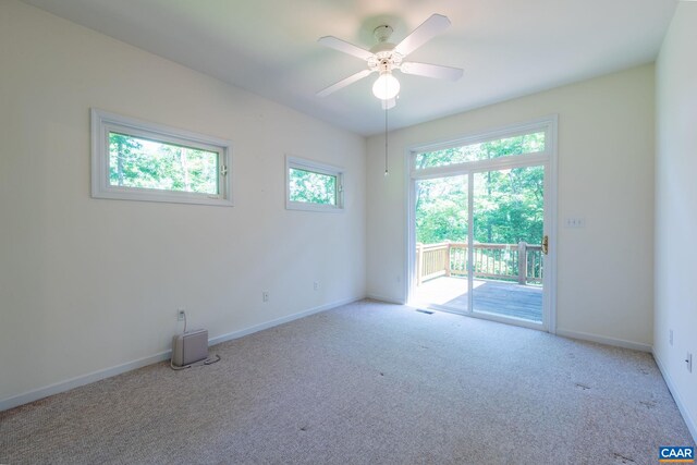 3 Nutwood Cir, Palmyra, VA 22963