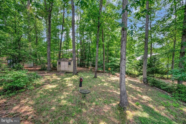 140 Jefferson Ave, Locust Grove, VA 22508 - photo 37