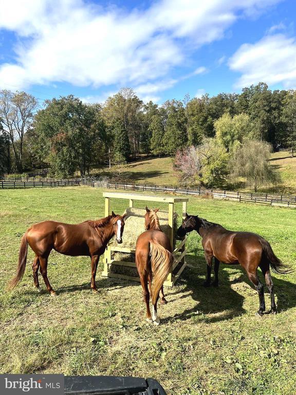 18691 Springs Rd, Jeffersonton, VA 22724 - horse barn featuring a rural view