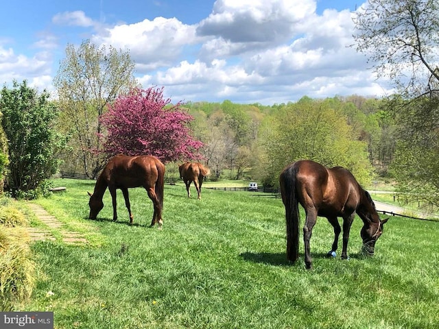 18691 Springs Rd, Jeffersonton, VA 22724 - surrounding community featuring a rural view