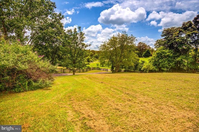 18691 Springs Rd, Jeffersonton, VA 22724 - view of yard