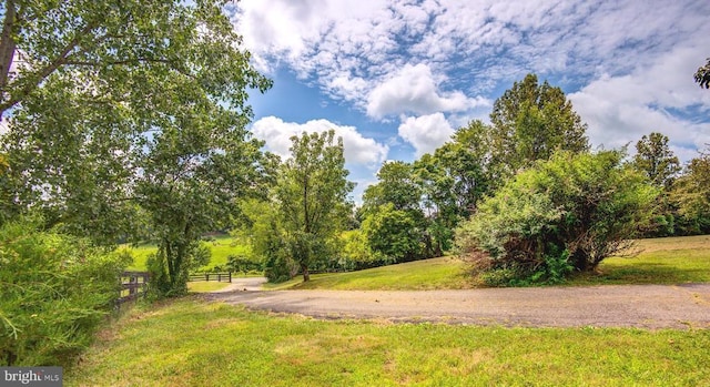 18691 Springs Rd, Jeffersonton, VA 22724 - view of yard
