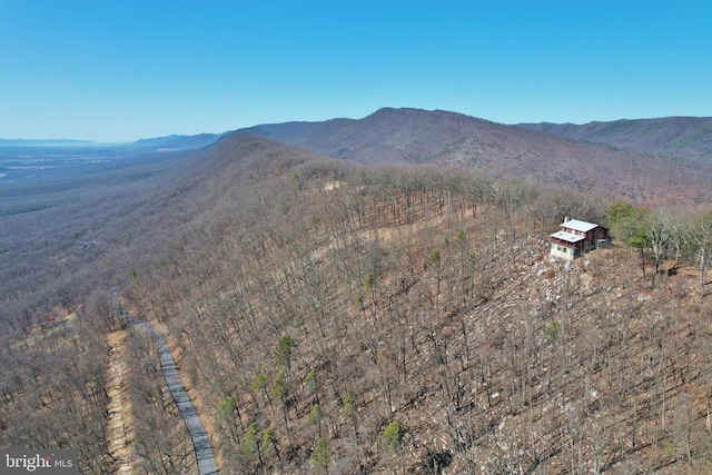 301 Mountain Top Dr, Luray, VA 22835 - view of mountain background