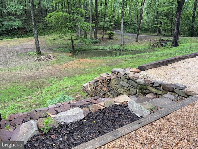  - view of yard with a forest view