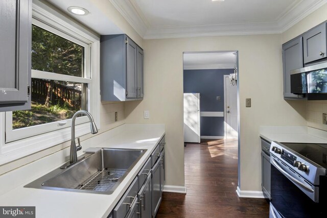 11719 Gordon Rd, Fredericksburg, VA 22407 - kitchen with stainless steel appliances, gray cabinetry, dark wood-style floors, and crown molding