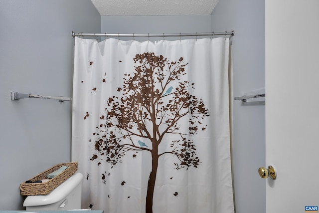 1409 Mica Rd, Mineral, VA 23117 - full bathroom featuring curtained shower and a textured ceiling