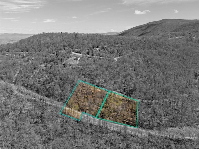 LOTS40 Petes Pl, Stanley, VA 22851