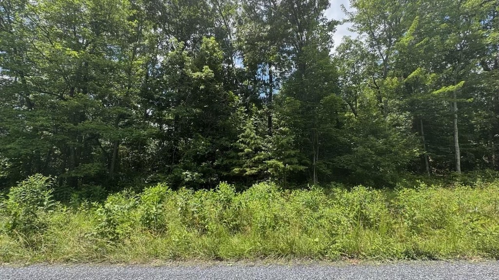 TBD Hunter Rd, Maurertown, VA 22644 - photo 2