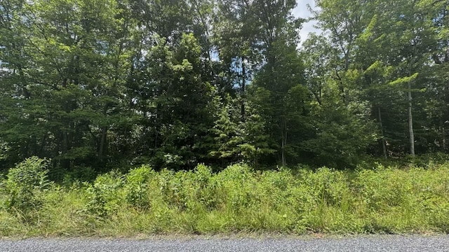 TBD Hunter Rd, Maurertown, VA 22644 - photo 2