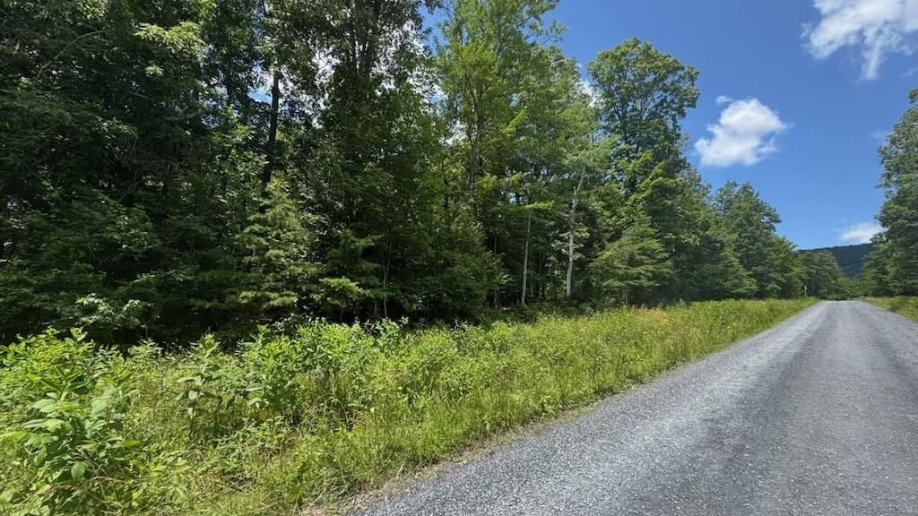 TBD Hunter Rd, Maurertown, VA 22644 - photo 1