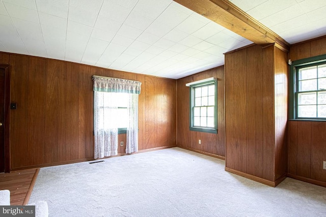  - carpeted spare room featuring wooden walls and baseboards