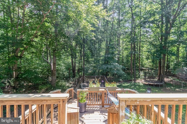 9603 Conaty Cir, Spotsylvania, VA 22553 - wooden deck featuring a trampoline