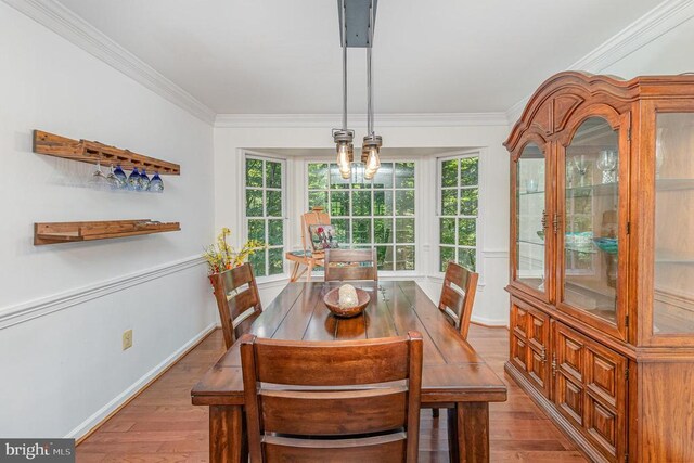 9603 Conaty Cir, Spotsylvania, VA 22553 - dining space featuring hardwood / wood-style floors, ornamental molding, and a chandelier