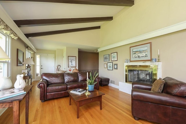 1601 Brunswick Rd, Waynesboro, VA 22980 - living area featuring a glass covered fireplace and light wood-type flooring
