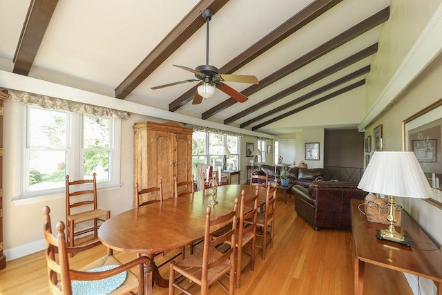 1601 Brunswick Rd, Waynesboro, VA 22980 - dining space with a ceiling fan, light wood-style floors, and plenty of natural light