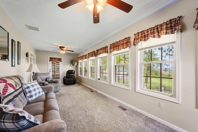 5409 Smith Creek Rd, New Market, VA 22844 - sunroom with healthy amount of natural light and carpet