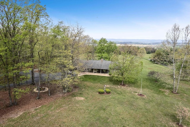 5409 Smith Creek Rd, New Market, VA 22844 - view of grassy yard