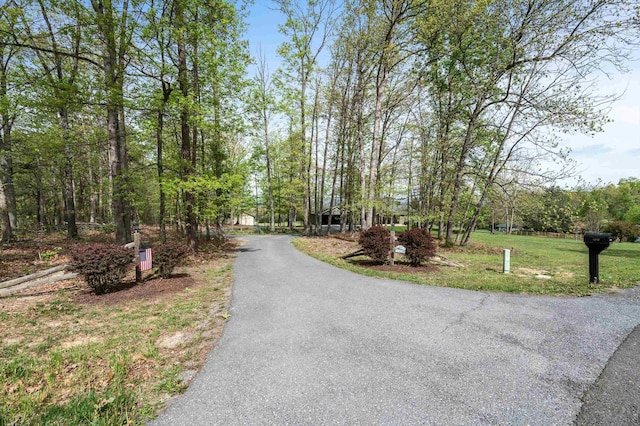 5409 Smith Creek Rd, New Market, VA 22844 - view of asphalt driveway