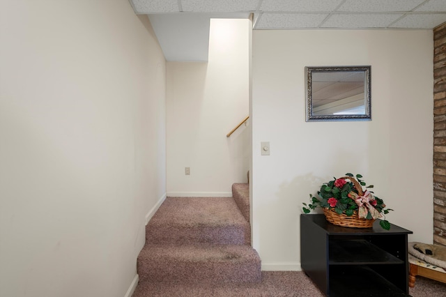 5409 Smith Creek Rd, New Market, VA 22844 - stairs with a paneled ceiling and carpet