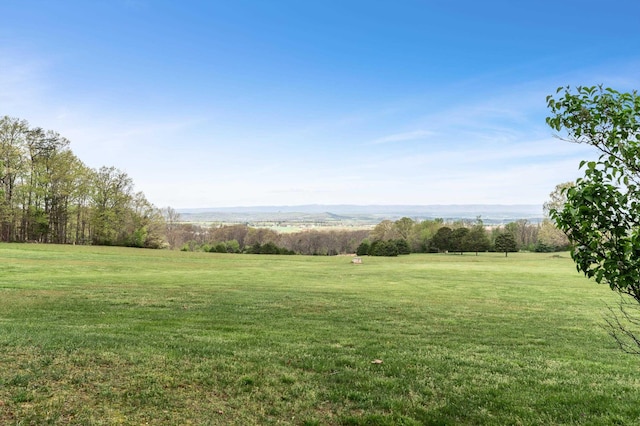 5409 Smith Creek Rd, New Market, VA 22844 - view of grassy yard featuring a view of rural / pastoral area