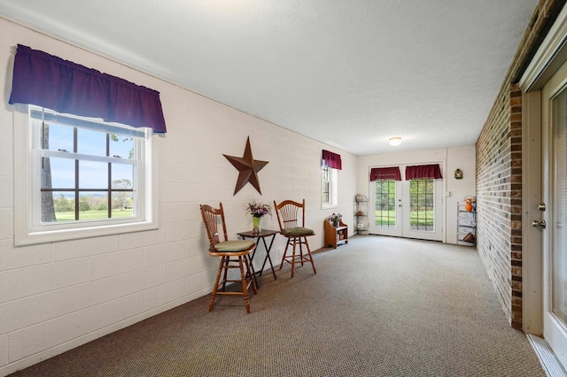 5409 Smith Creek Rd, New Market, VA 22844 - sitting room featuring carpet flooring