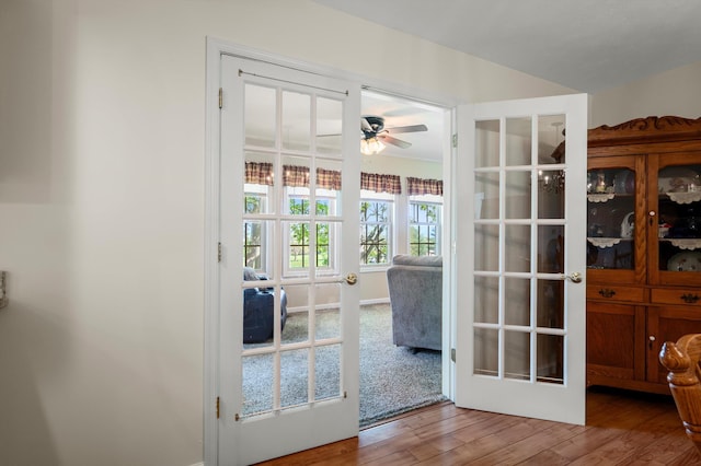 5409 Smith Creek Rd, New Market, VA 22844 - doorway with ceiling fan, wood finished floors, and french doors