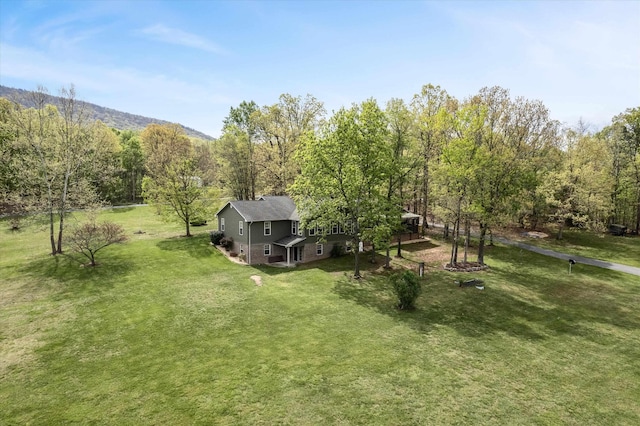 5409 Smith Creek Rd, New Market, VA 22844 - view of grassy yard