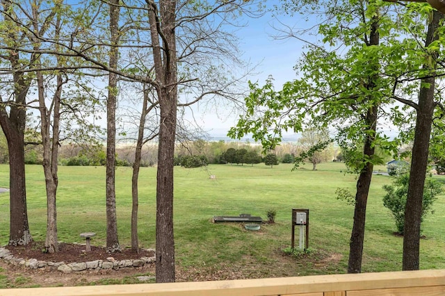 5409 Smith Creek Rd, New Market, VA 22844 - view of grassy yard