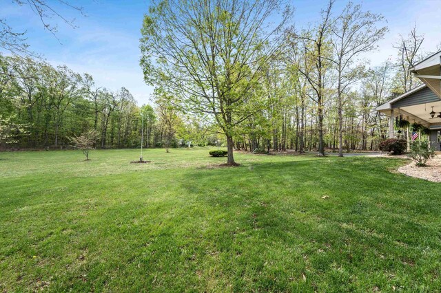 5409 Smith Creek Rd, New Market, VA 22844 - view of grassy yard