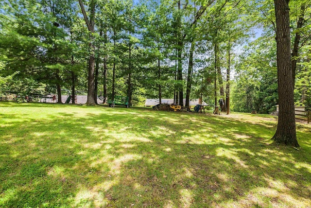 506 Robin St, Staunton, VA 24401 - photo 53