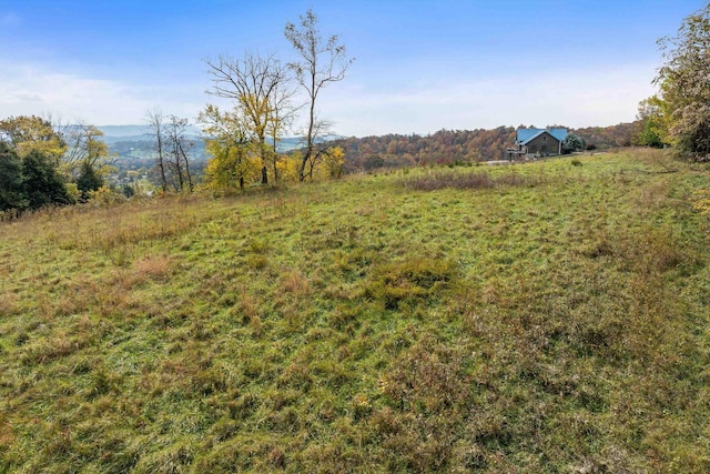 928 Melrose Rd, Rockingham, VA 22802 - view of yard