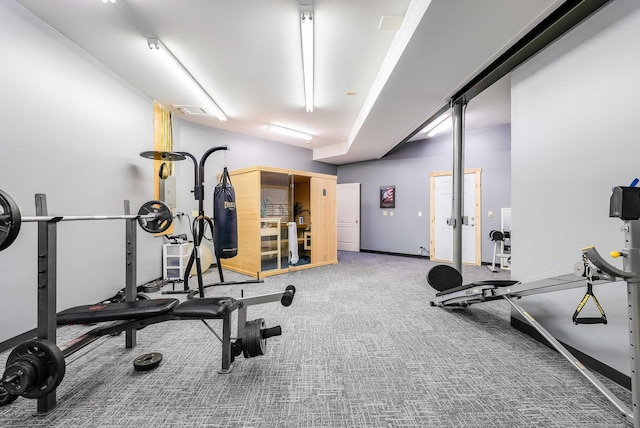 928 Melrose Rd, Rockingham, VA 22802 - workout area with carpet, baseboards, and visible vents