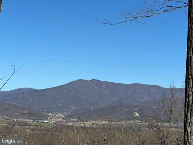 152 Susan Ln, Stanley, VA 22851 - mountain view