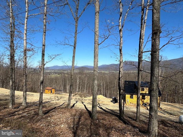 152 Susan Ln, Stanley, VA 22851 - mountain view